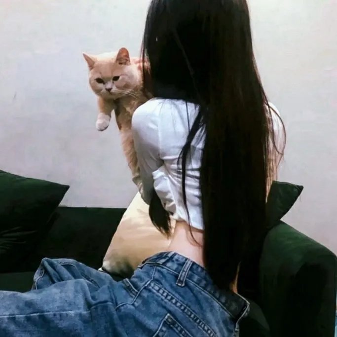 危情狂蝶